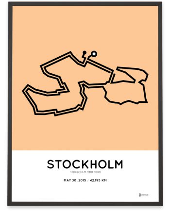 2015 Stockholm marathon course poster