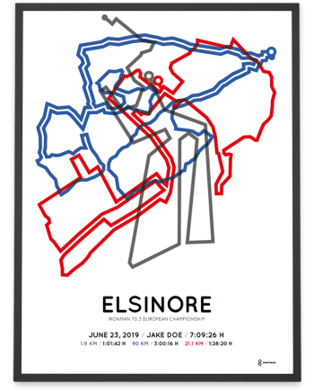 2019 Ironman 70.3 Elsinore course print