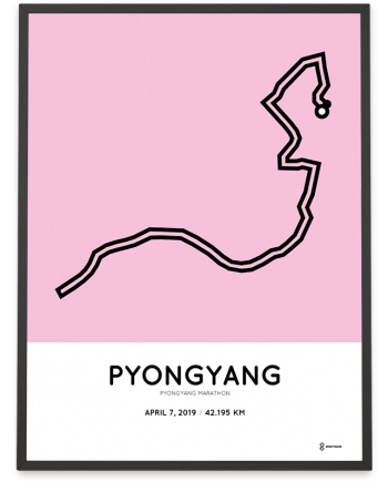 2019 Pyongyang marathon course sportymaps poster