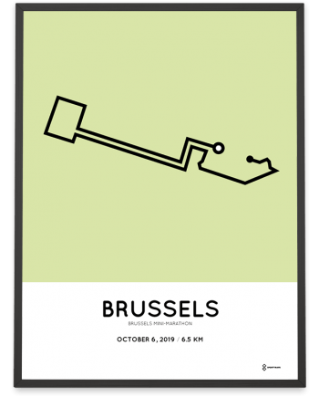 2019 Brussels-mini-marathon parcours print