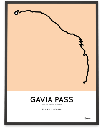 Gavia Pass course poster