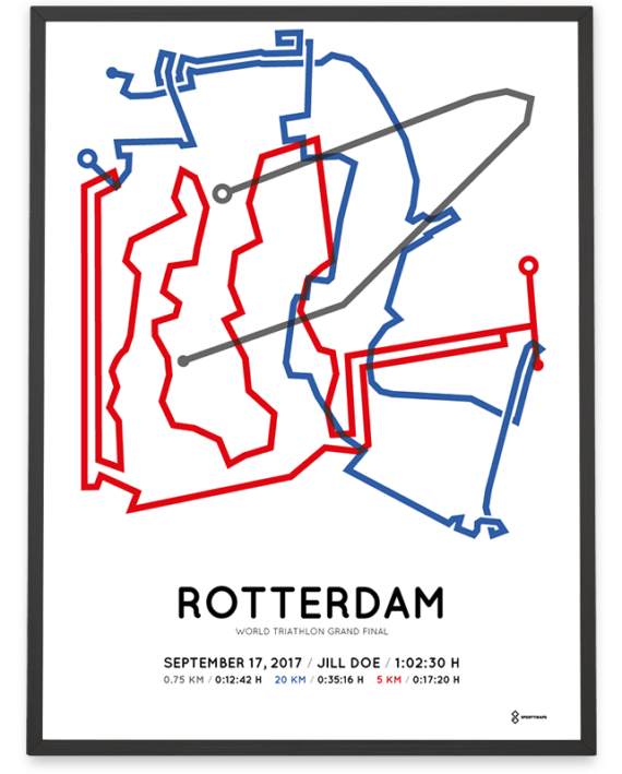 2017 World triathlon grand final rotterdam sprint distance poster